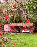 Top San Antonio de Areco