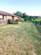 Top Sauternes