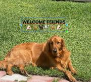 Top Kissimmee Top Kissimmee