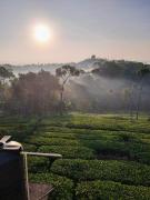 Top Idukki