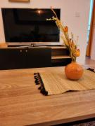 Appartement T3 PARIS idéal JO M12-7