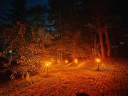 Căsuța din pădure