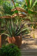 Cabanas Adobe Frente Al Mar