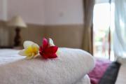Top Ubud