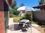 Top Tongoy Top Tongoy