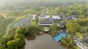 Top Gambang