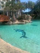 Crown Towers - Private Apartment