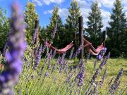 MAZURSKI SPLOT pokoje