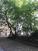 Beautifully designed homely calm parisian duplex