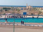 شاليه بقرية القصر السياحية للايجار ب مطروح إمتداد شاطيء الأبيض حمام السباحة في القرية به صيانه شاليه بقرية القصر السياحية للايجار ب مطروح إمتداد شاطيء الأبيض حمام السباحة في القرية به صيانه