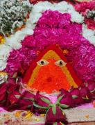 The Chintpurni International