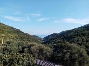 La casetta dei 4 gatti