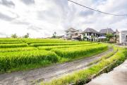 Top Canggu