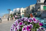 Top Otranto