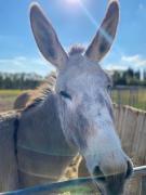 Top Châteaurenard Top Châteaurenard