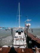 Top Isla Holbox