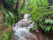 Top Siolim Top Siolim