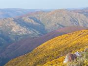 Top Arouca Top Arouca