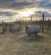 Ferienwohnung Langenlois