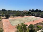Top Peyia