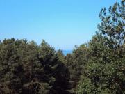 Sunny flat 250m from the beach