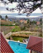 Sapanca Seyrusefa Bungalov