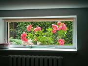 Top Neveronys Top Neveronys