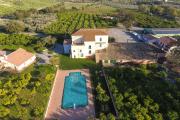 Top Gerace