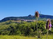 Top Capracotta