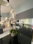 Top La Barca Top La Barca