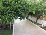 Top Kalamaki Heraklion