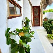 Top Dibulla Top Dibulla