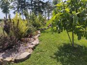 Maison de charme dans un cadre exceptionnel