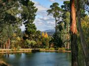 Top Mount Macedon