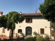 Top Prato