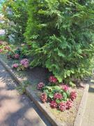 Top Międzyzdroje Top Międzyzdroje