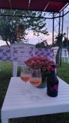 Top San Donato