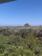 Appartement deux chambres-calme proche plage