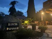 Top Pątnów Top Pątnów