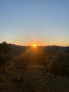 Top Figueiró dos Vinhos