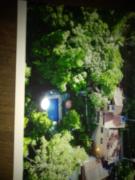 Chales rotaleste Ilhabela