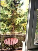 Top Warszawa Top Warszawa