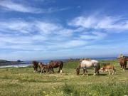 Maison de caractère à 3km de la mer