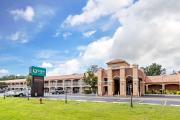 Top Alachua