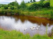 Top Craven Arms Top Craven Arms