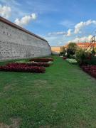 Top Mediaş Top Mediaş