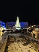 Top Bari