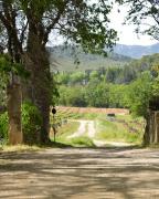 Top Montfort-sur-Argens