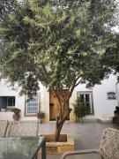 Dar arbi dans un village de pêcheur