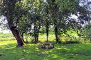 Top Moustey